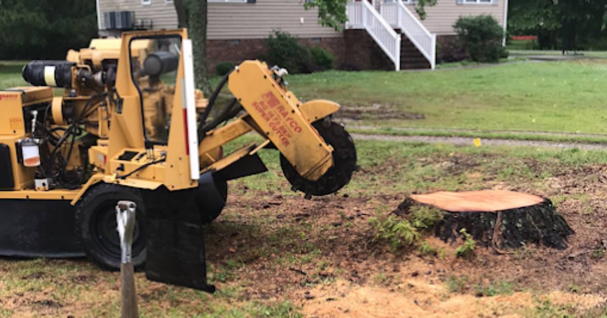 Stump Grinding & Removal in Yorktown, VA